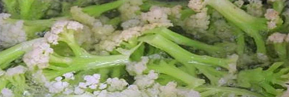 焯煮、油炸設(shè)備